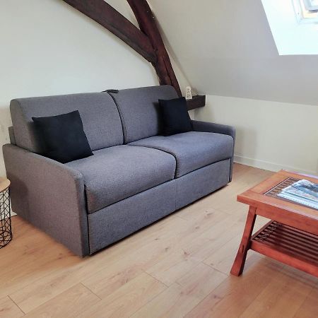 Appartement Au Centre Ville De Sens Eksteriør bilde